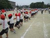 img_3312_thumb.jpg