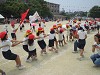 img_3318_thumb.jpg