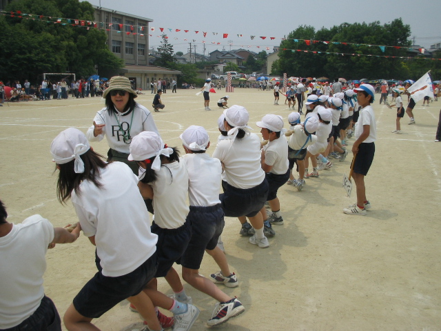 img_3319.jpg