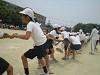 img_3321_thumb.jpg