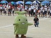 img_3330_thumb.jpg