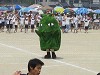 img_3331_thumb.jpg