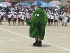 img_3334_thumb.jpg