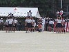 img_3337_thumb.jpg