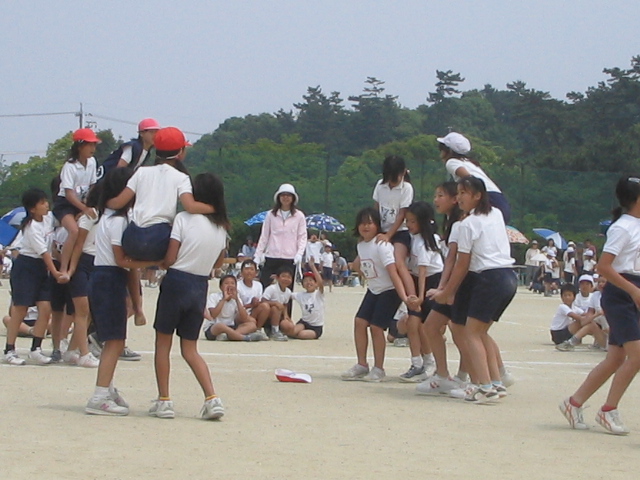 img_3342.jpg