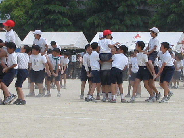 img_3347.jpg