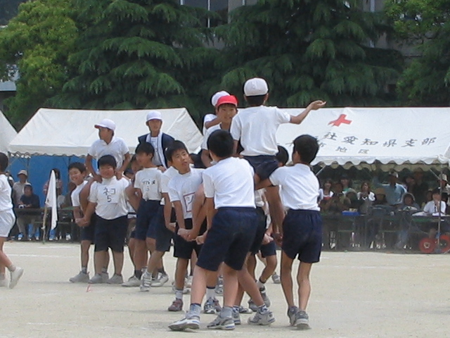 img_3349.jpg