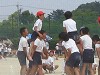 img_3350_thumb.jpg