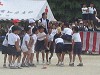 img_3353_thumb.jpg