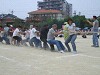 img_3354_thumb.jpg