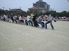 img_3356_thumb.jpg