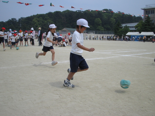 img_3365.jpg