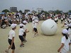 img_3369_thumb.jpg