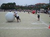 img_3370_thumb.jpg