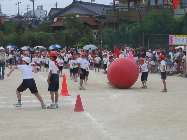 img_3372.jpg