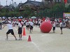 img_3372_thumb.jpg