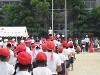 img_3382_thumb.jpg