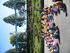 IMG_3160_thumb.png