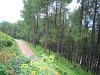 img_6323_thumb.jpg