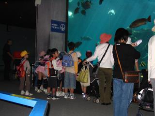 2006-10-25 10:44:27