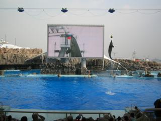 2006-11-02 13:06:47