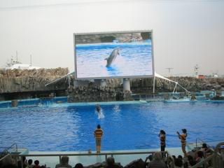 2006-11-02 13:13:25