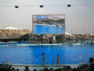 2006-11-02 13:16:16