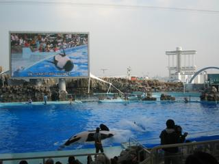 2006-11-02 13:34:43