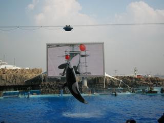 2006-11-02 13:38:45