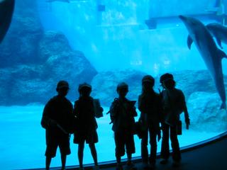 2006-11-02 13:46:18