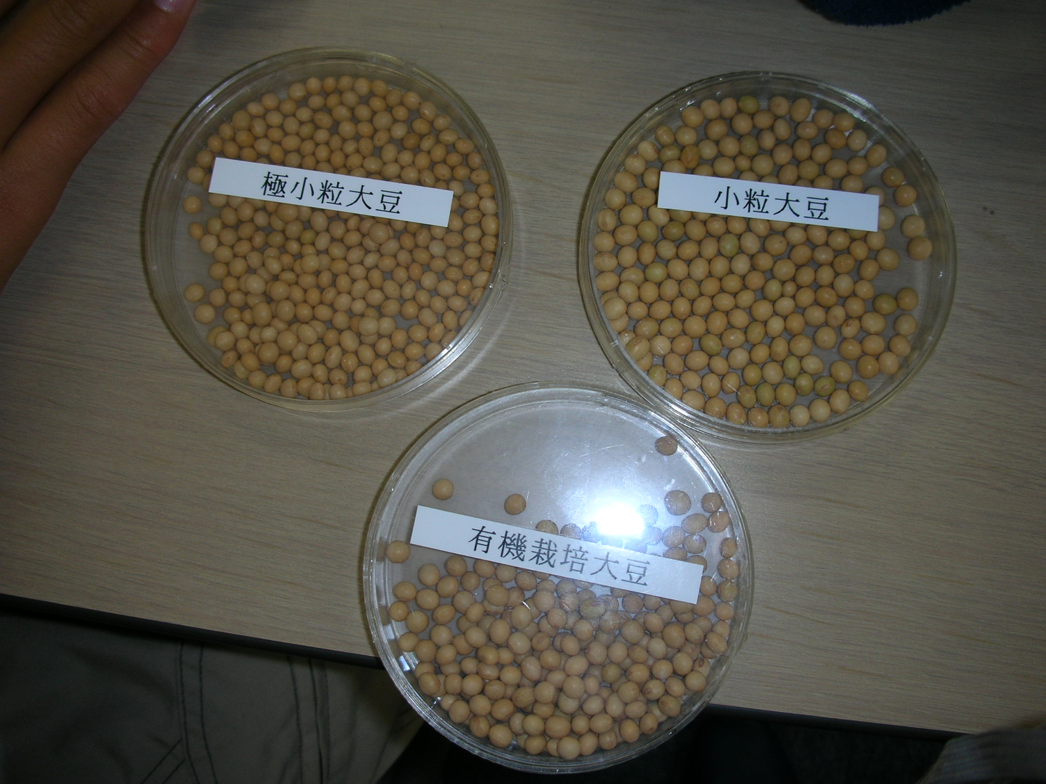 dscn0543.jpg