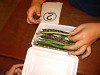 img_3221_thumb.jpg