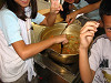 img_0013_thumb.jpg