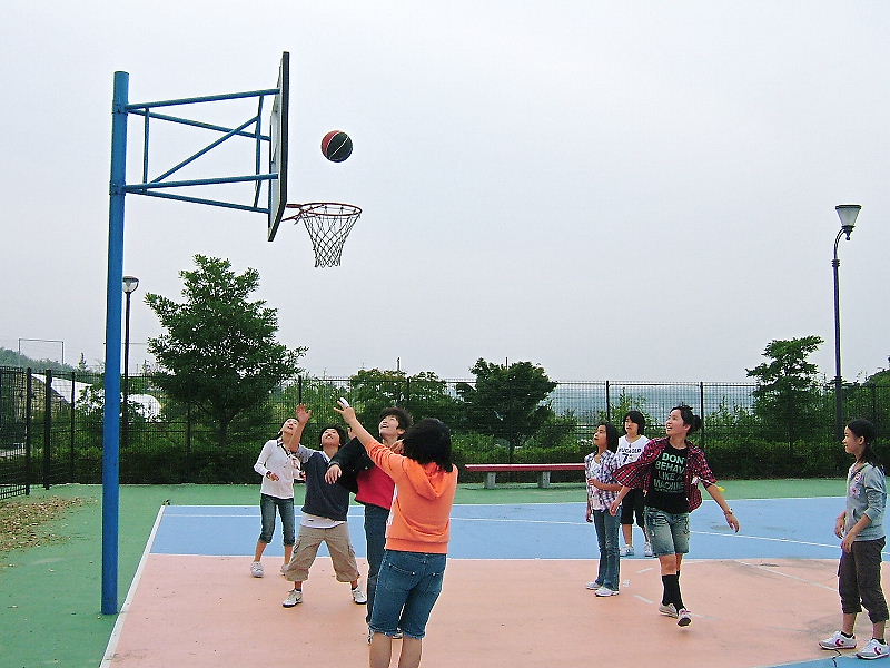 009.jpg