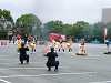 dscf6577_thumb.jpg