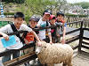 dscf0858_thumb.jpg