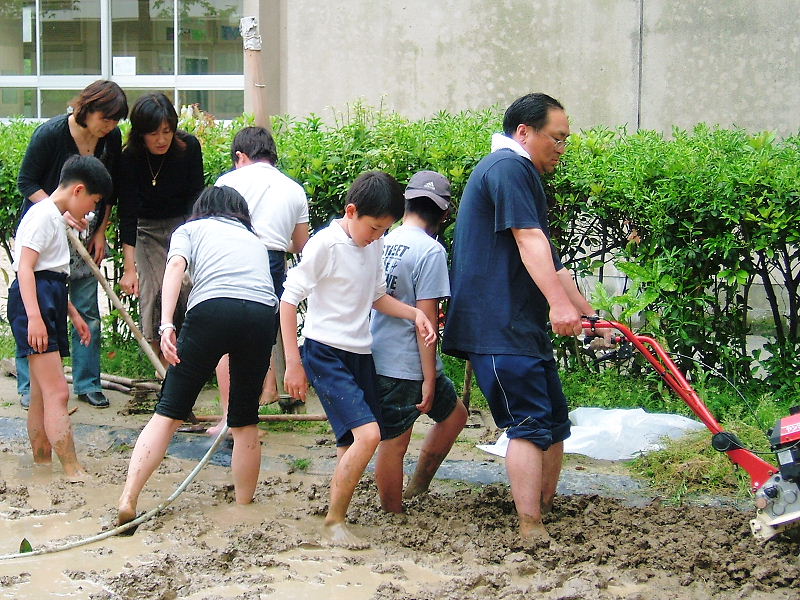 dscf2786.jpg