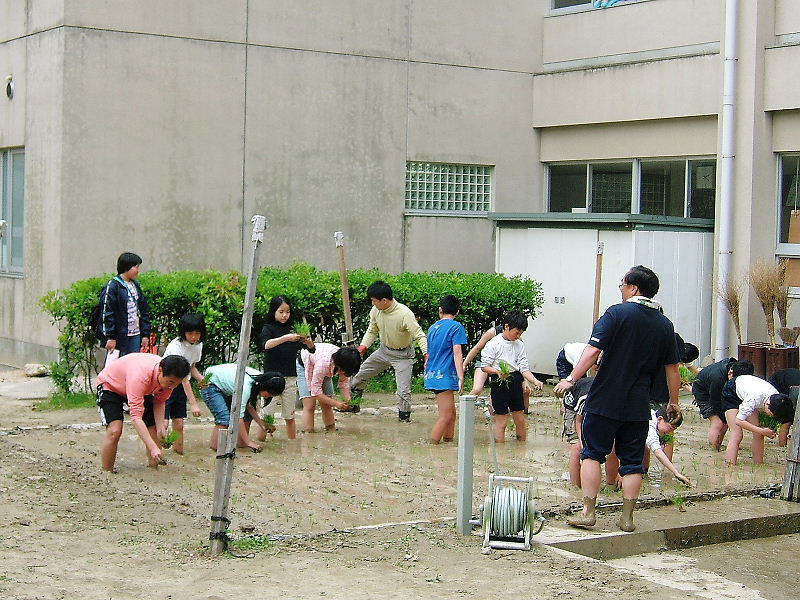 dscf2806.jpg