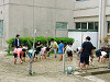 dscf2806_thumb.jpg