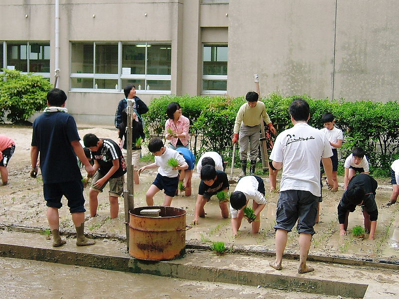 dscf2807.jpg