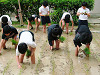 dscf2810_thumb.jpg