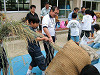 dscf4291_thumb.jpg