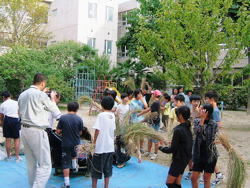 dscf4306.jpg