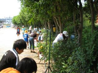 2006-09-04 11:01:53