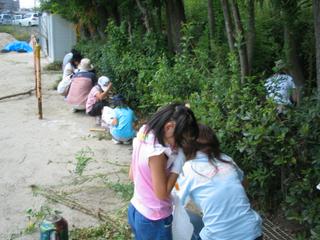 2006-09-04 11:02:53