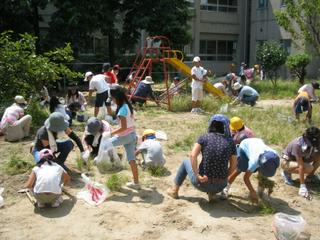 2006-09-04 11:17:49
