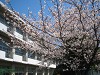 img_5192_thumb.jpg