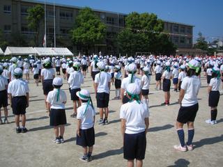 2006-05-21 09:07:18