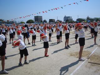 2006-05-21 09:22:49