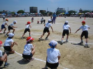 2006-05-21 10:14:41